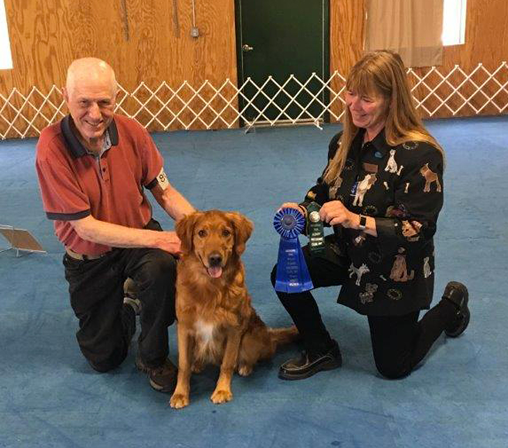 Adirondac Golden Retrievers